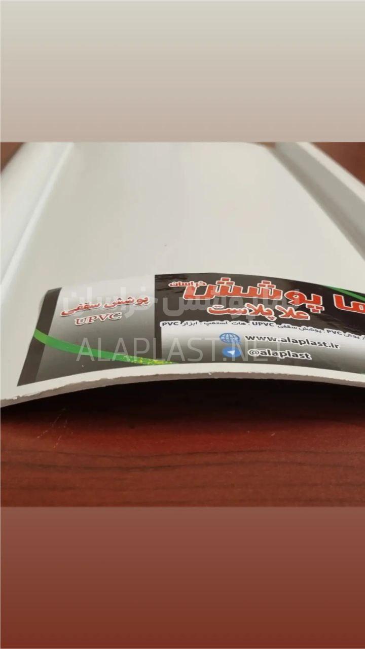 photo_2025-02-03_17-52-26